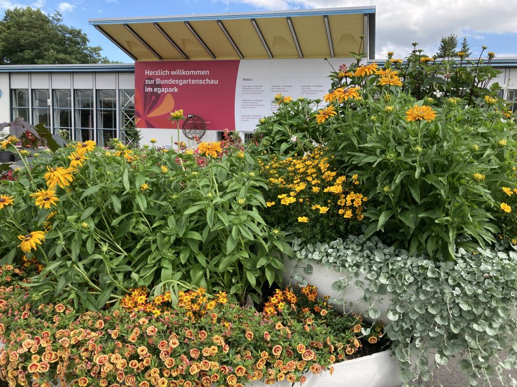 Blumen in Erfurt – Impressionen von der Bundesgartenschau