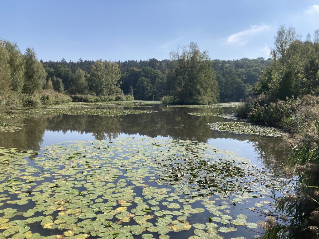 Dennenloher Schlosspark